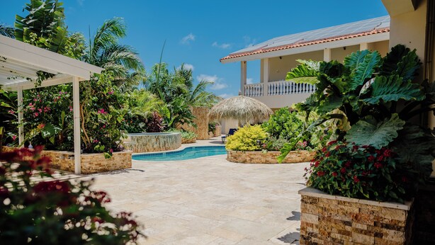 A pool area with a thatched umbrella, surrounded by lush tropical plants and a stone wall. - Spacious 4-bedroom Apartment 2 km From Eagle Beach (Noord)