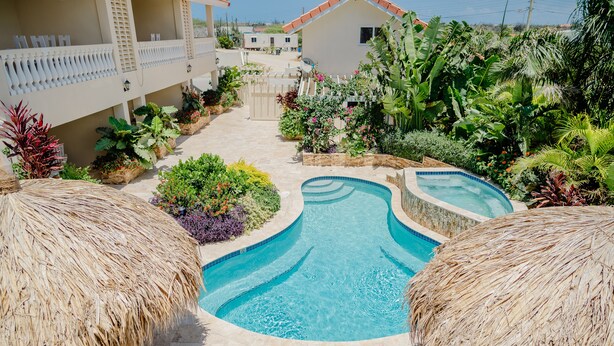 Una piscina de diseño curvo, rodeada de exuberante vegetación y sombrillas de paja.