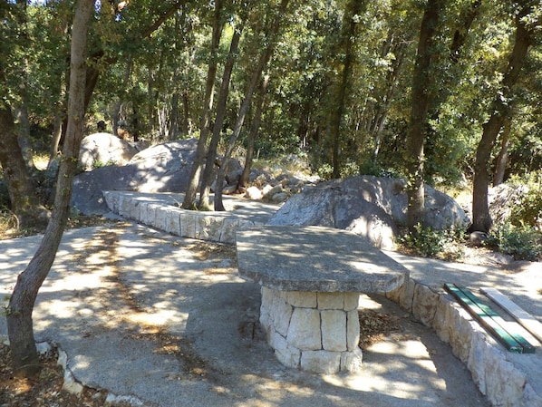 Un banc en pierre situé dans un espace boisé, entouré d’arbres et de rochers.
