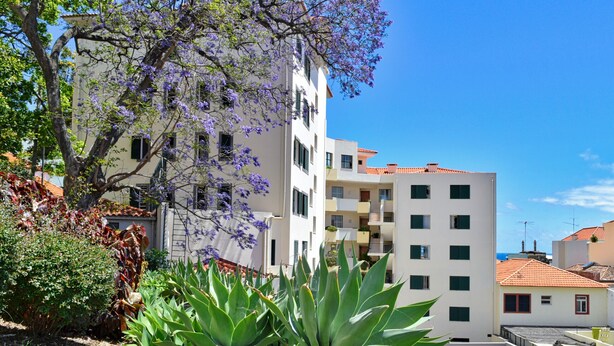 A multi-story building with balconies, surrounded by greenery and purple flowering trees.