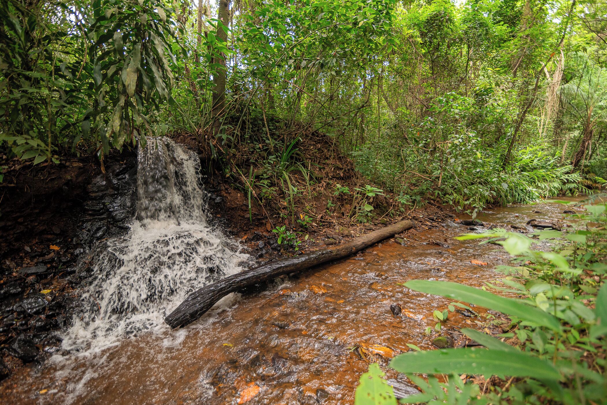 A natural waterfall in a forested area.