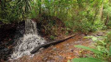 A natural waterfall in a forested area.