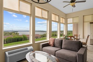 TV, fireplace, books, streaming services