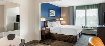 Comfort Inn & Suites Grand Blanc/flint