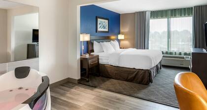 Comfort Inn & Suites Grand Blanc/flint