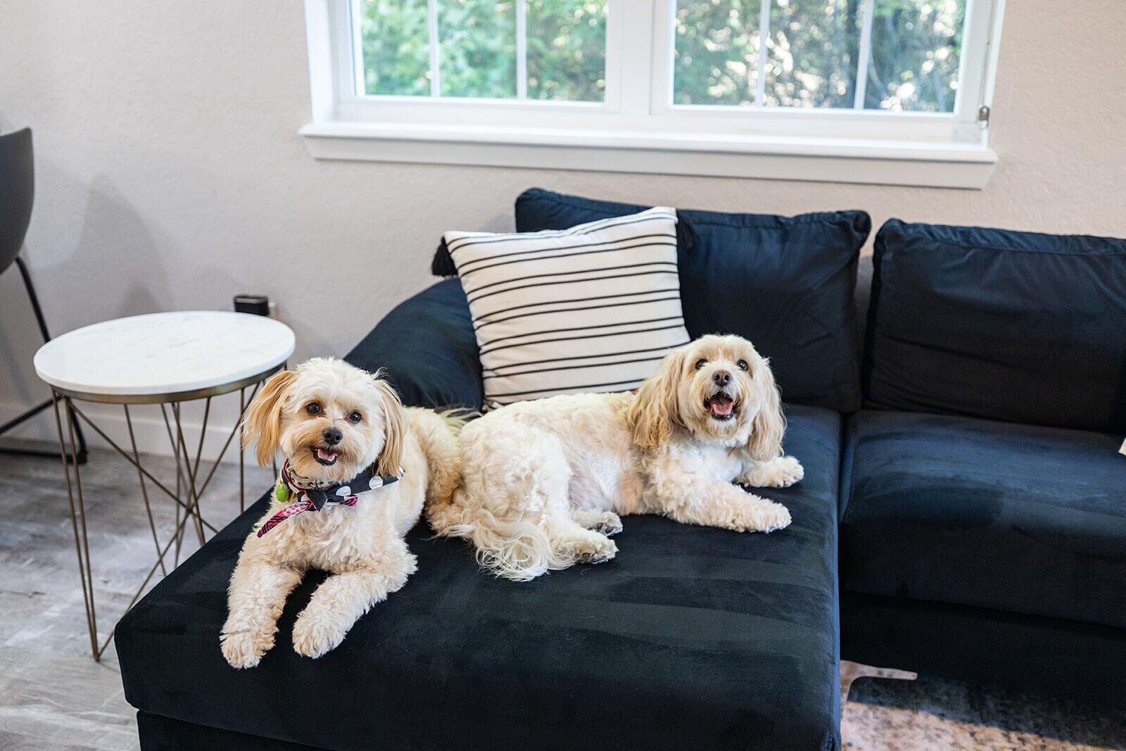 Modern Luxury - Hideaway Haven DOG FRIENDLY!