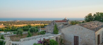 Sage - open space in the Hyblean countryside