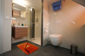Shower, hair dryer, toilet paper