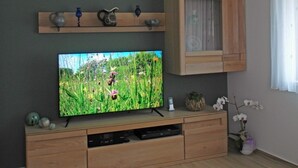 A living room with a flat-screen TV on a wooden stand, a cabinet above, and a window with curtains. - 4-star vacation apartment "Sorbitztal" incl. guest card Schwarzatal (Rohrbach)