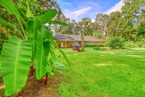 Una casa con fachada de ladrillo, rodeada de un césped cuidado y grandes plantas de plátano.