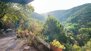 Un espace extérieur aménagé dans un style rustique, avec une table et des chaises, entouré d’une végétation luxuriante et dominé par un paysage montagneux.