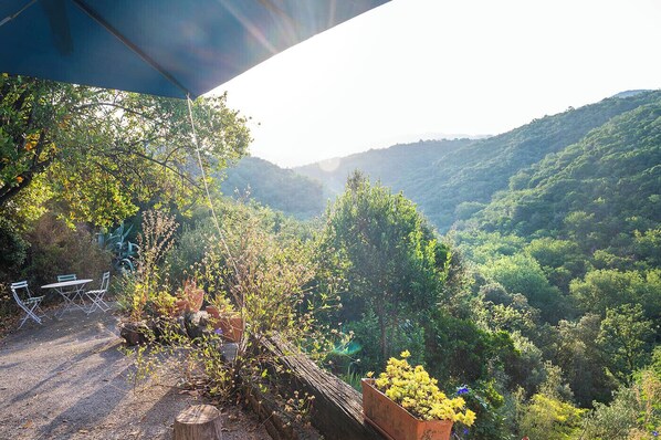 Property grounds - Quiet gîte overlooking nature 15 minutes from Lac du Salagou (Fozières)