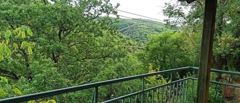 Un balcón con vistas a un follaje verde exuberante y una colina distante.
