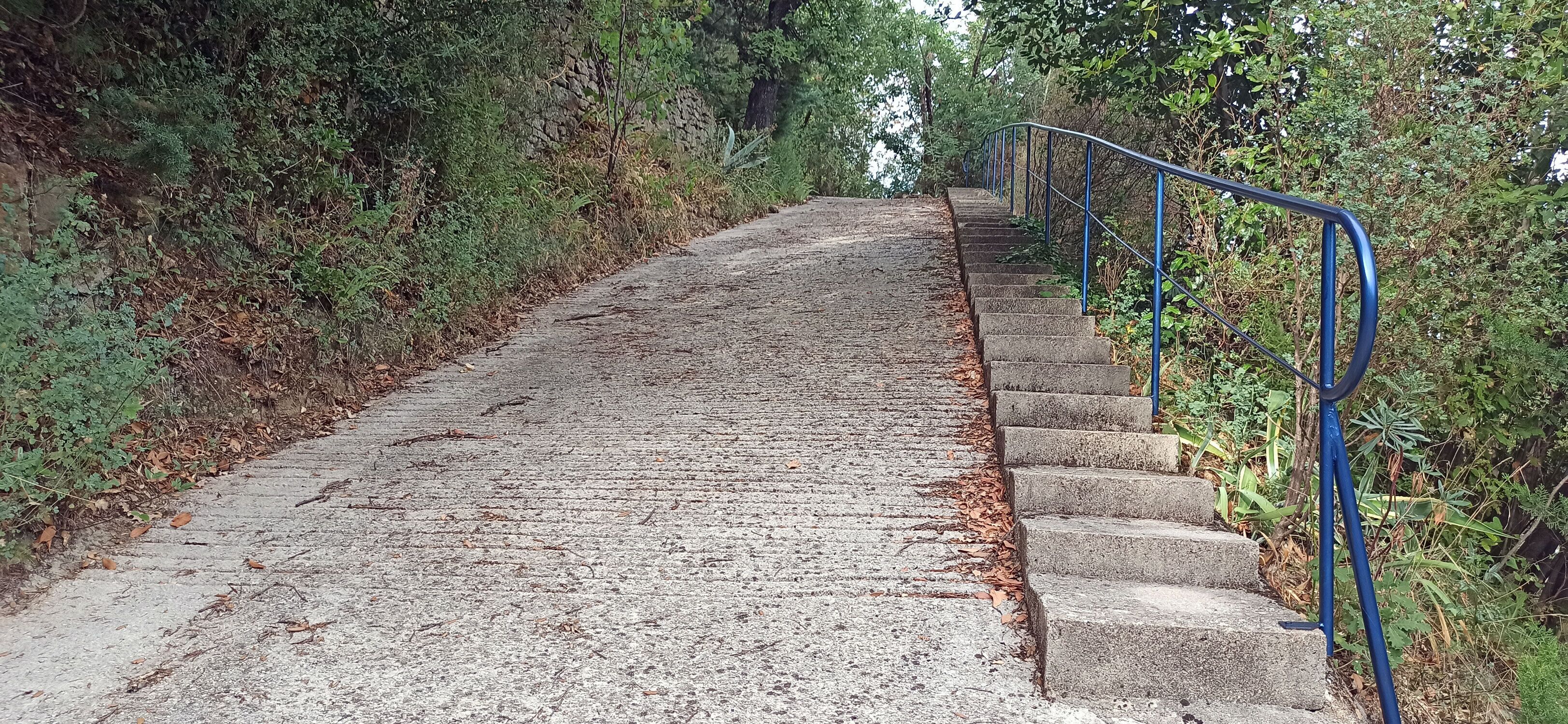 A concrete staircase with a blue handrail, surrounded by greenery.