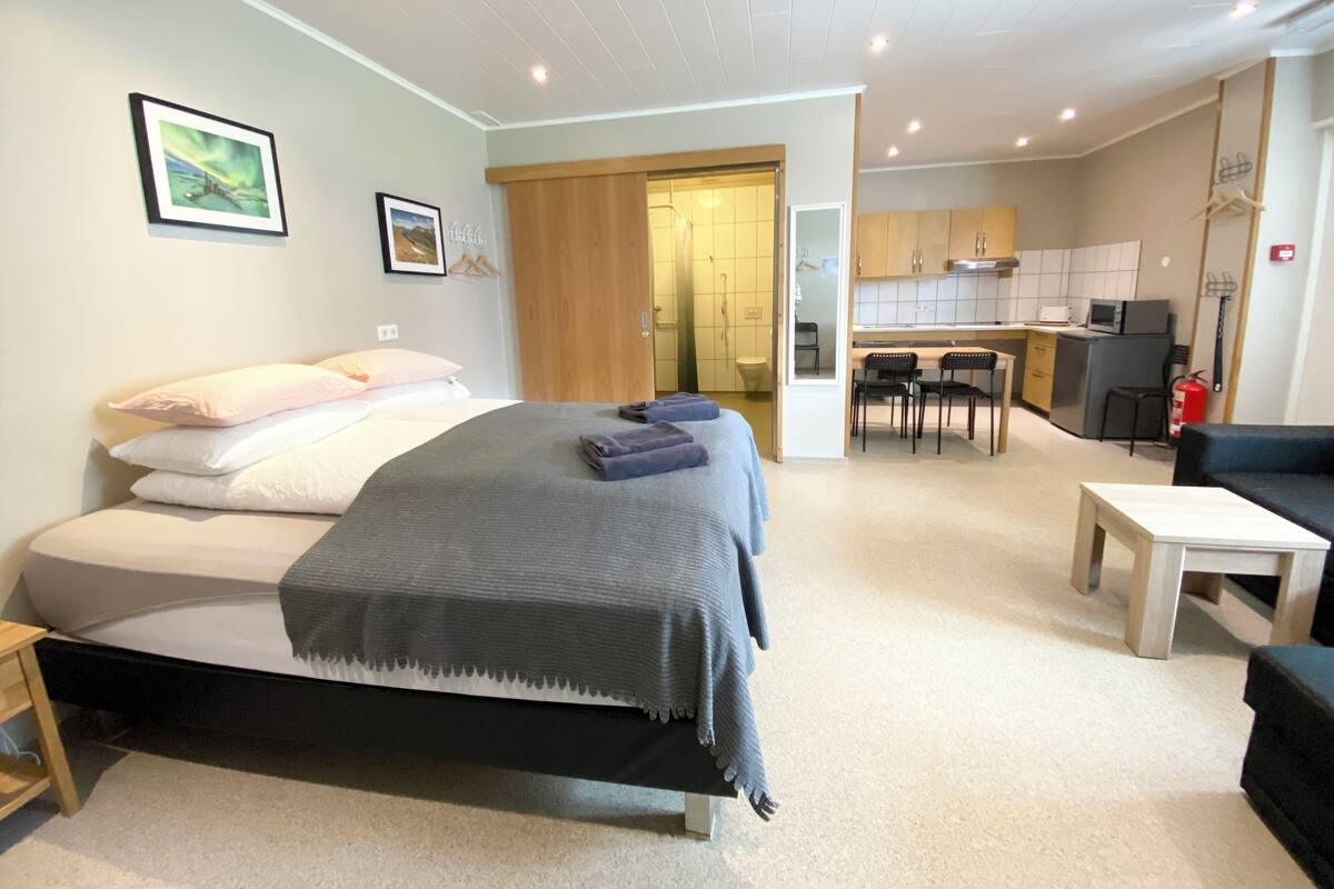 Family Studio | Hypo-allergenic bedding available, desk, laptop workspace, WiFi (free)