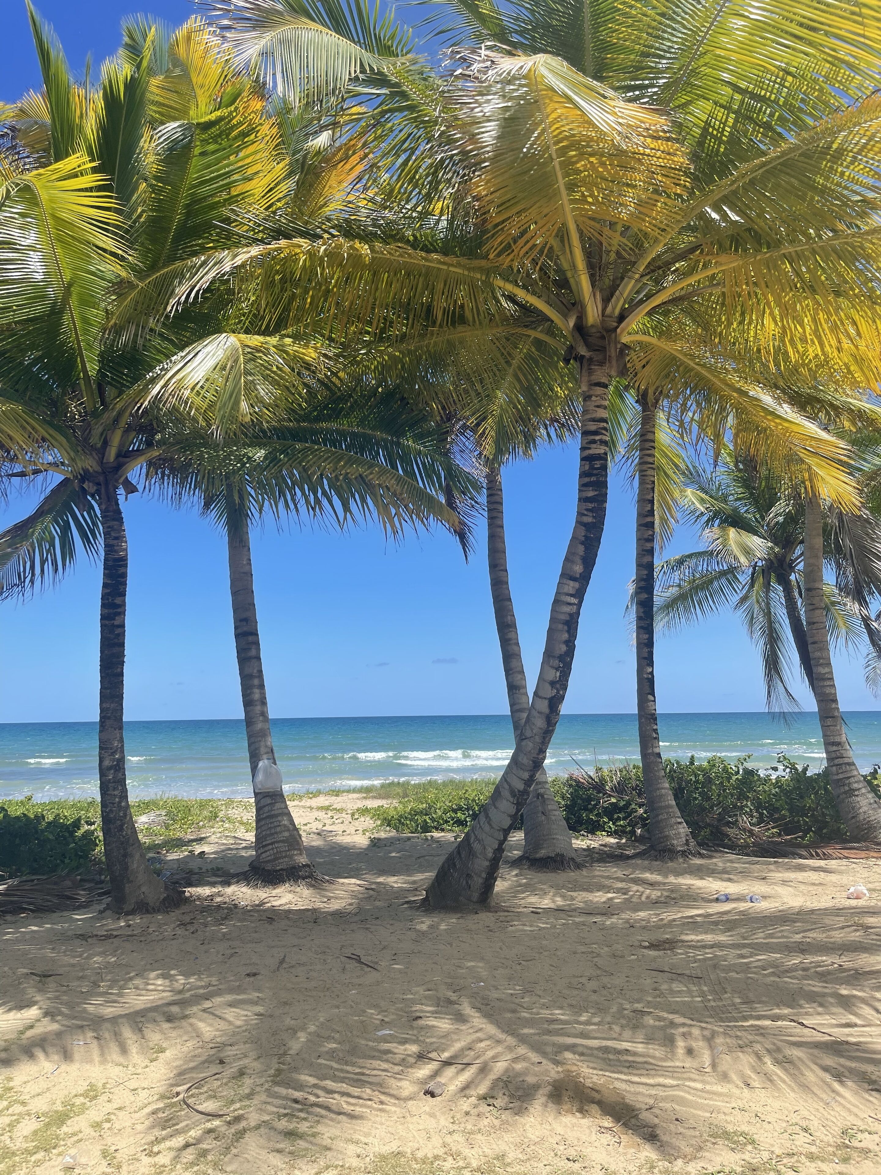 Beach nearby, beach towels