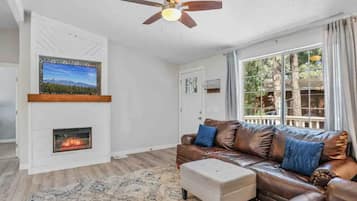 Smart TV, fireplace, books