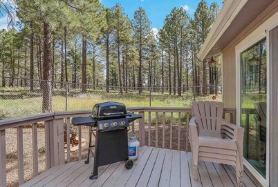 Chill Cottage Backs Forest (Dog Friendly!)