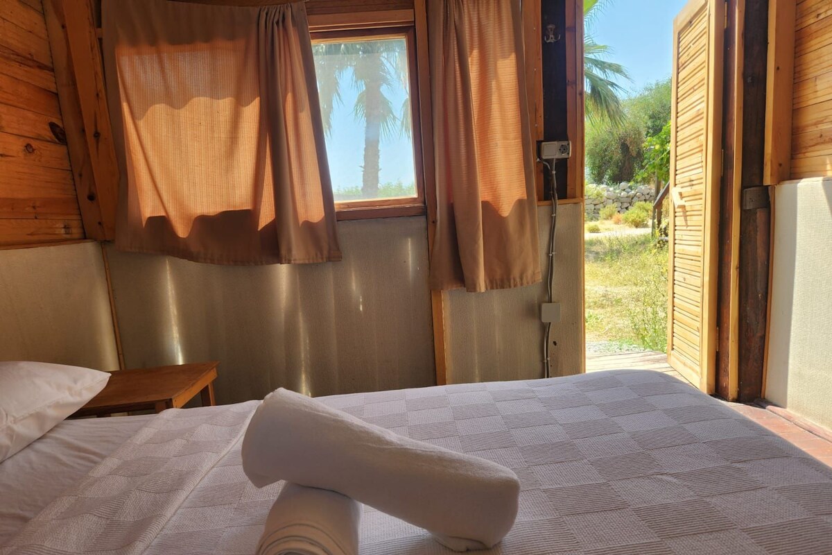 A wooden room with a bed, curtains, and a view of greenery outside.