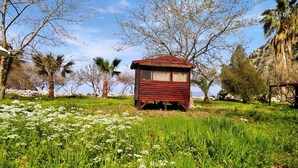 A small wooden cabin with a sloped roof, surrounded by lush greenery and flowering plants. - Kelebekler Vadisi Butterfly Valley (Fethiye)