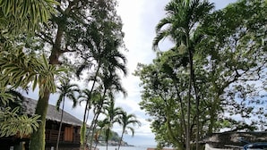 Ein Pool, umgeben von tropischen Bäumen und Blick auf einen Strand.