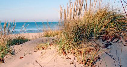 Modern 2BR + 2BA New Build Condo w/ Garage & Patio