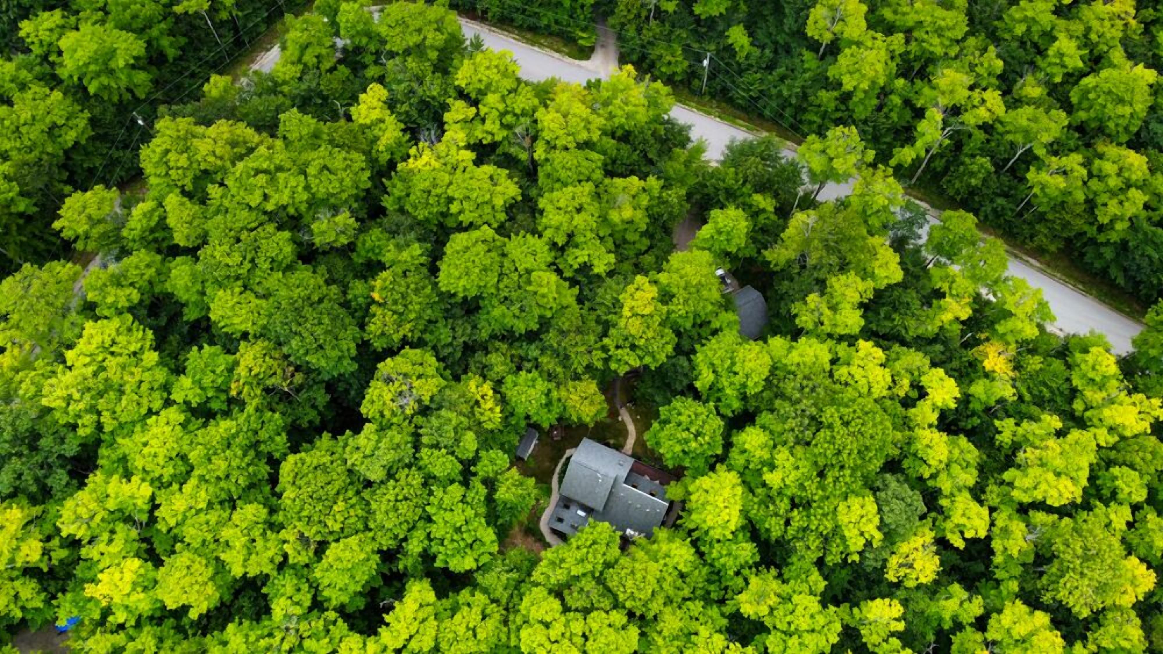 Secluded Scandanavian Cabin In Sister Bay