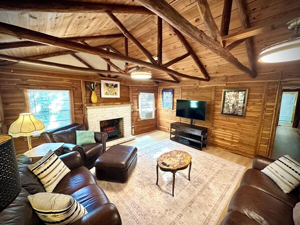 Smart TV, fireplace, DVD player, video library