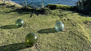 A grassy area with three large green spheres and a view of the ocean with a sailboat in the distance. - Stunning Clifftop Villa with Infinity Pool (Westerhall Land Settlement)