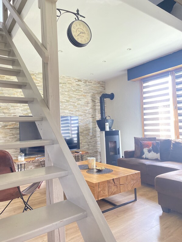 Télévision, cheminée, lecteur de DVD, livres