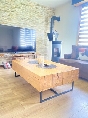 Télévision, cheminée, lecteur de DVD, livres