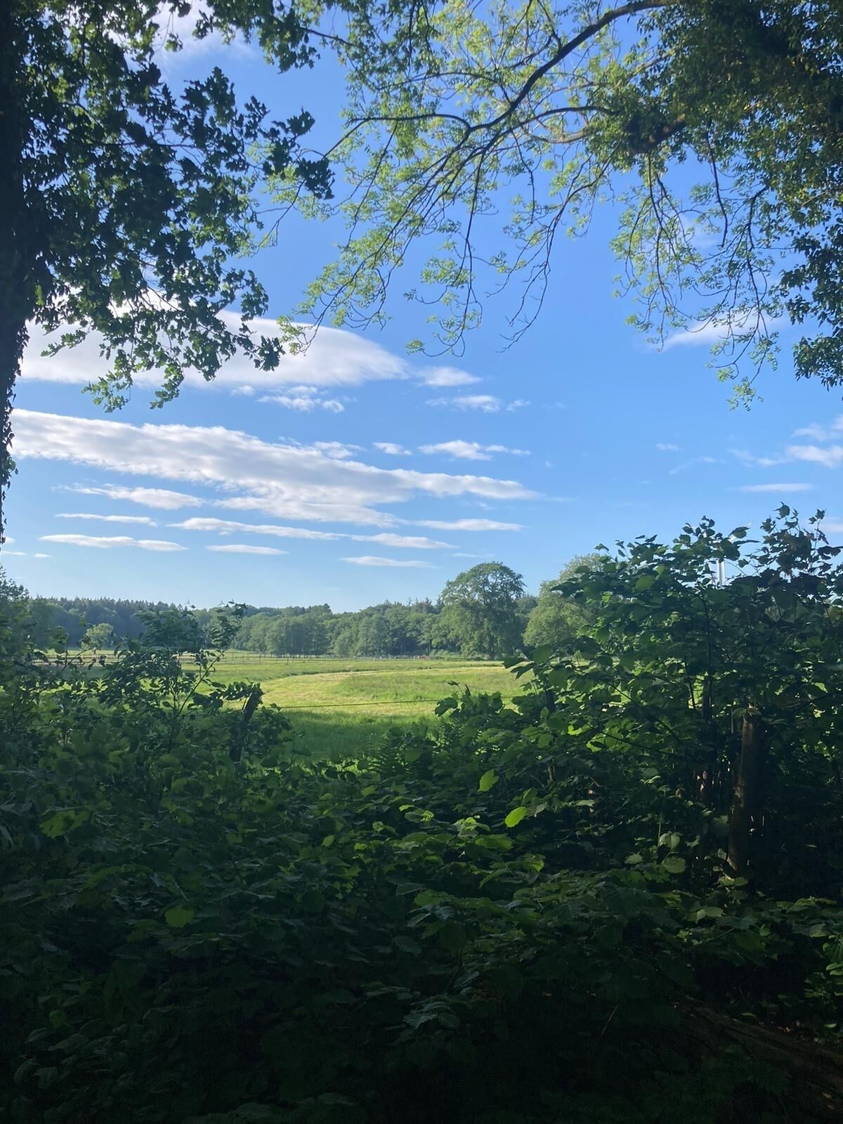 Een weelderig groen landschap met een heldere lucht en verspreide wolken.