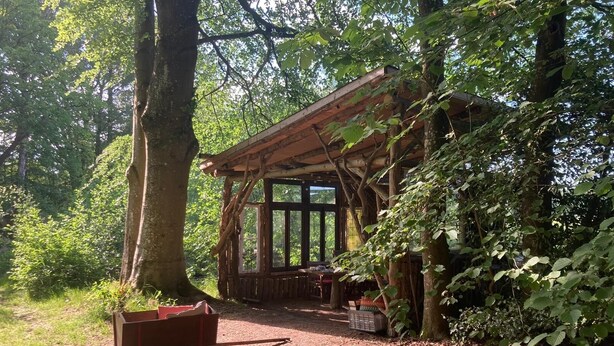 A rustic wooden structure with a large window, surrounded by dense foliage. - Construction trailer - in the middle of nature (Kleve)