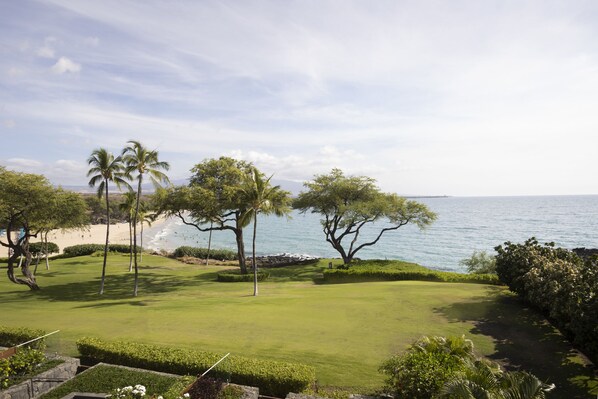 Un campo de golf con vista al océano y palmeras.