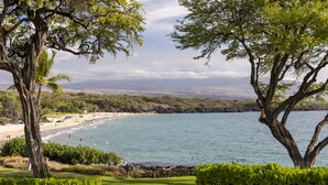 A coastal landscape with a beach, trees, and a view of the sea.