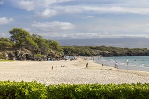 On the beach, sun loungers, beach towels