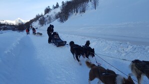 رياضات التزحلق على الجليد والماء