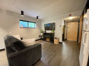 Smart TV, fireplace, video game console, books