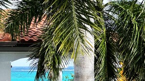 Vista de una zona costera con palmeras y un mar azul y despejado.