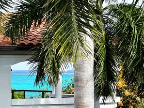 Property grounds - Coral View Villa Grace Bay Views! (Richmond Commons)