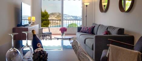 Smart TV, DVD player, books, video library