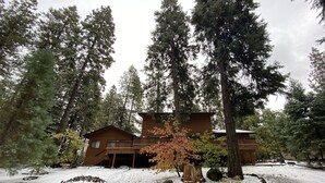 A two-story lodge surrounded by tall evergreen trees, with a snow-covered ground and a stone-lined circular area in front. - Spacious cabin with AC, private lake, hot tub, movie room (Arnold)