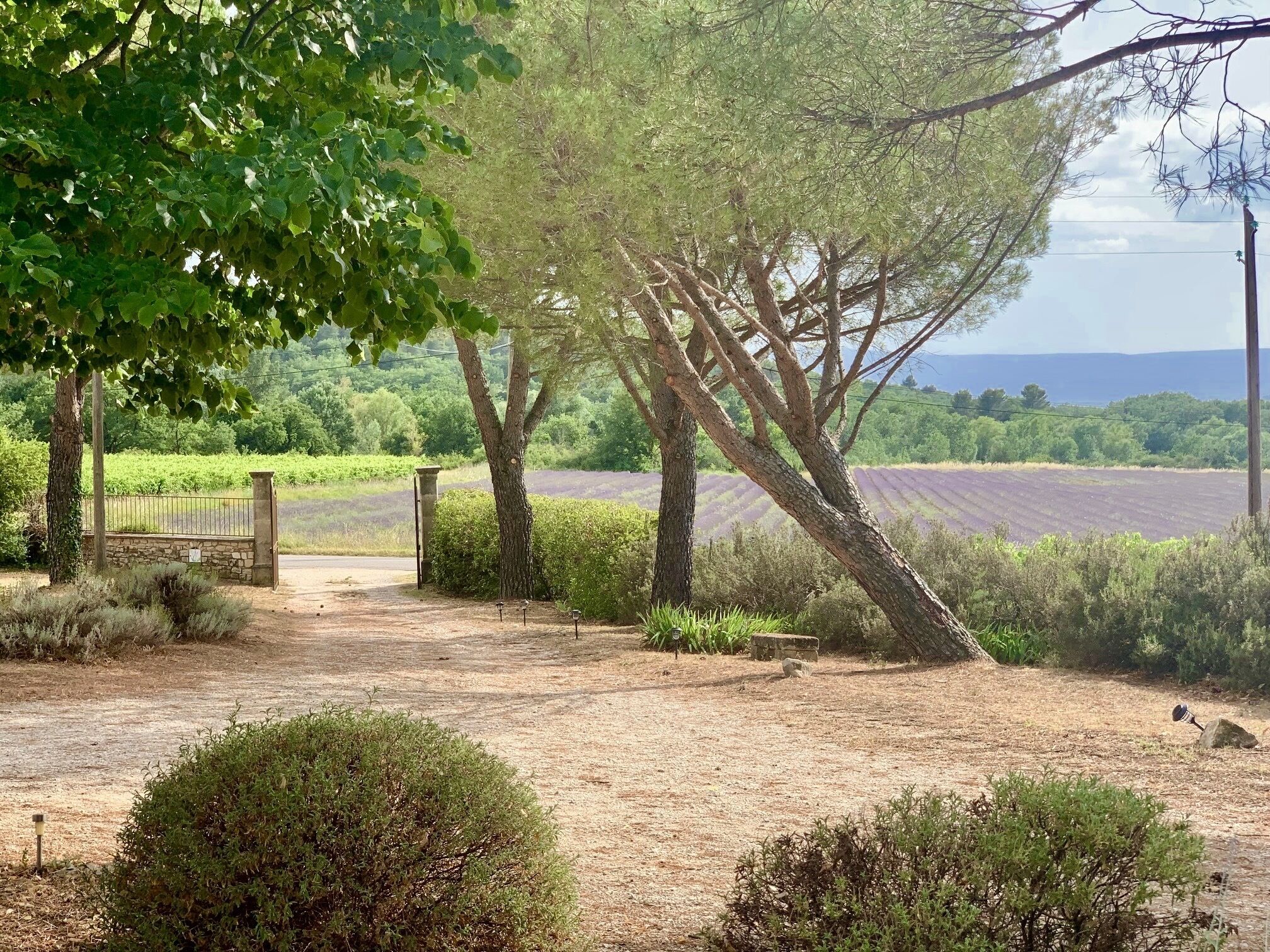 Overnattingsstedets uteområder