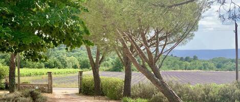 Overnattingsstedets uteområder