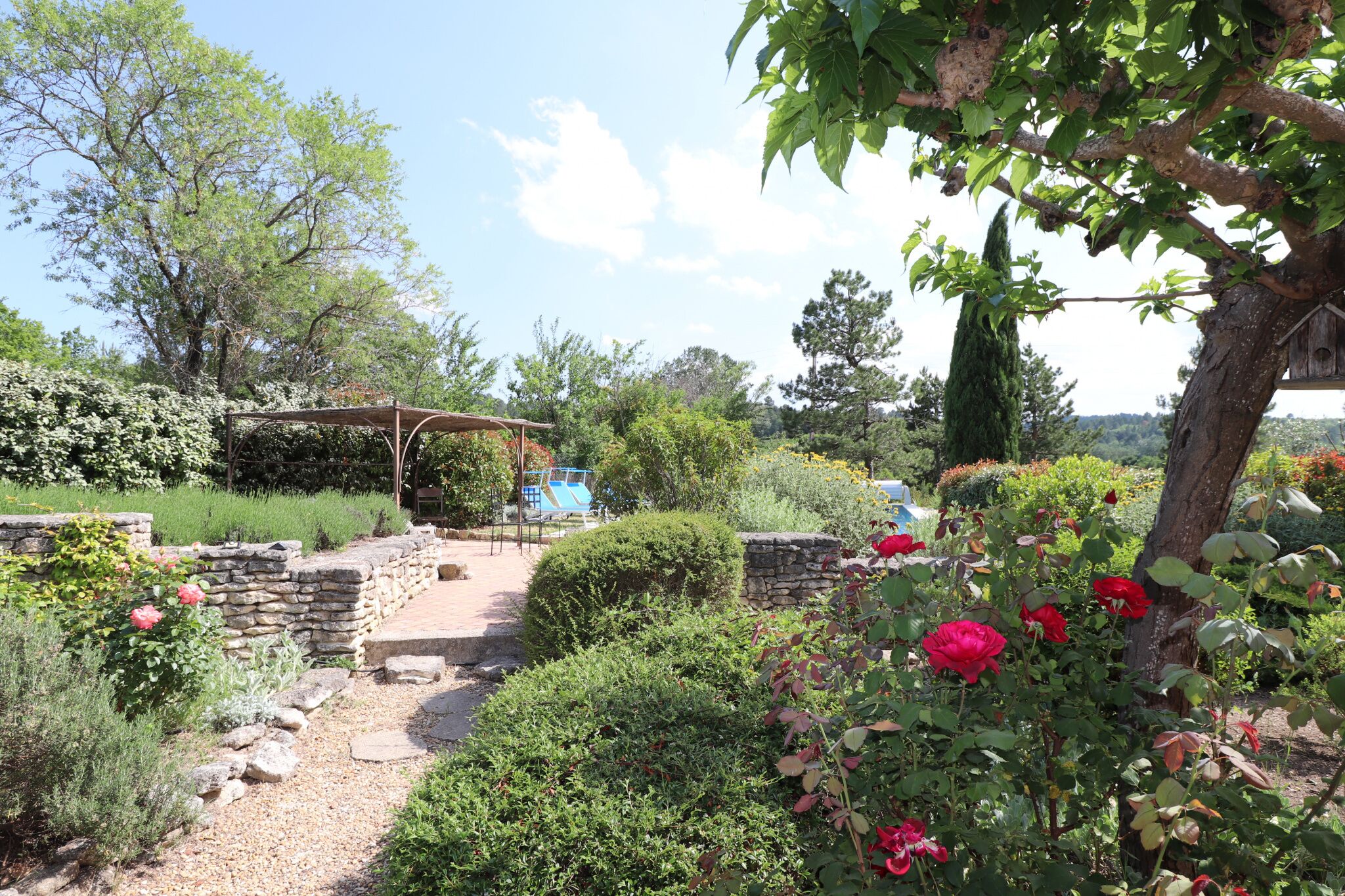 A garden with a stone pathway, a pergola, and various plants and flowers.