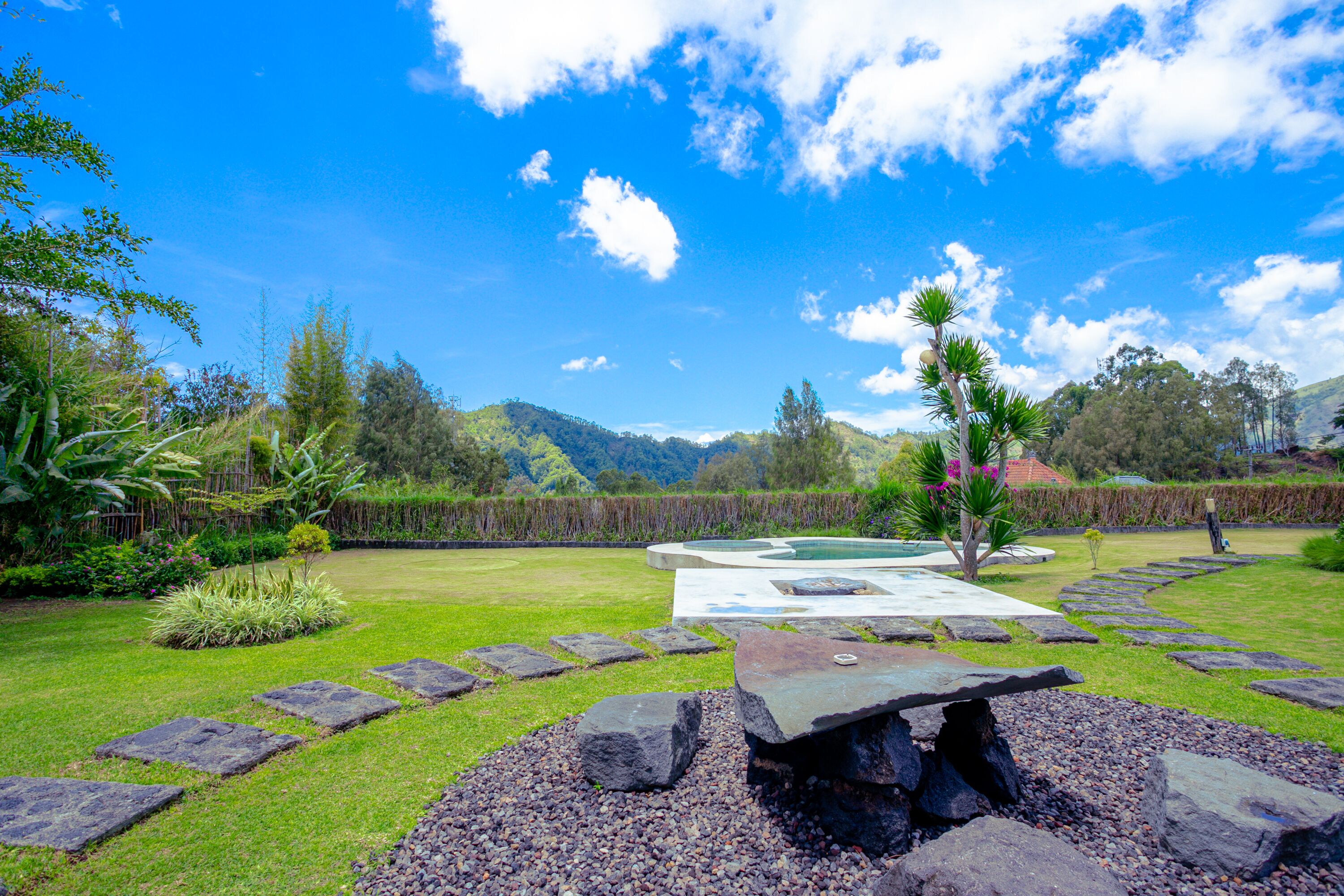 A well-maintained garden with a stone pathway, a small pond, and a variety of plants and trees.
