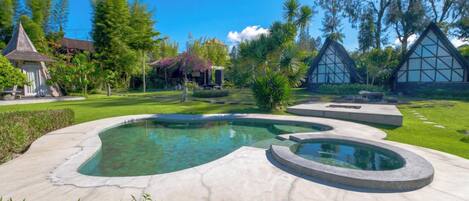 A swimming pool with a unique design, surrounded by well-maintained lawns and trees.