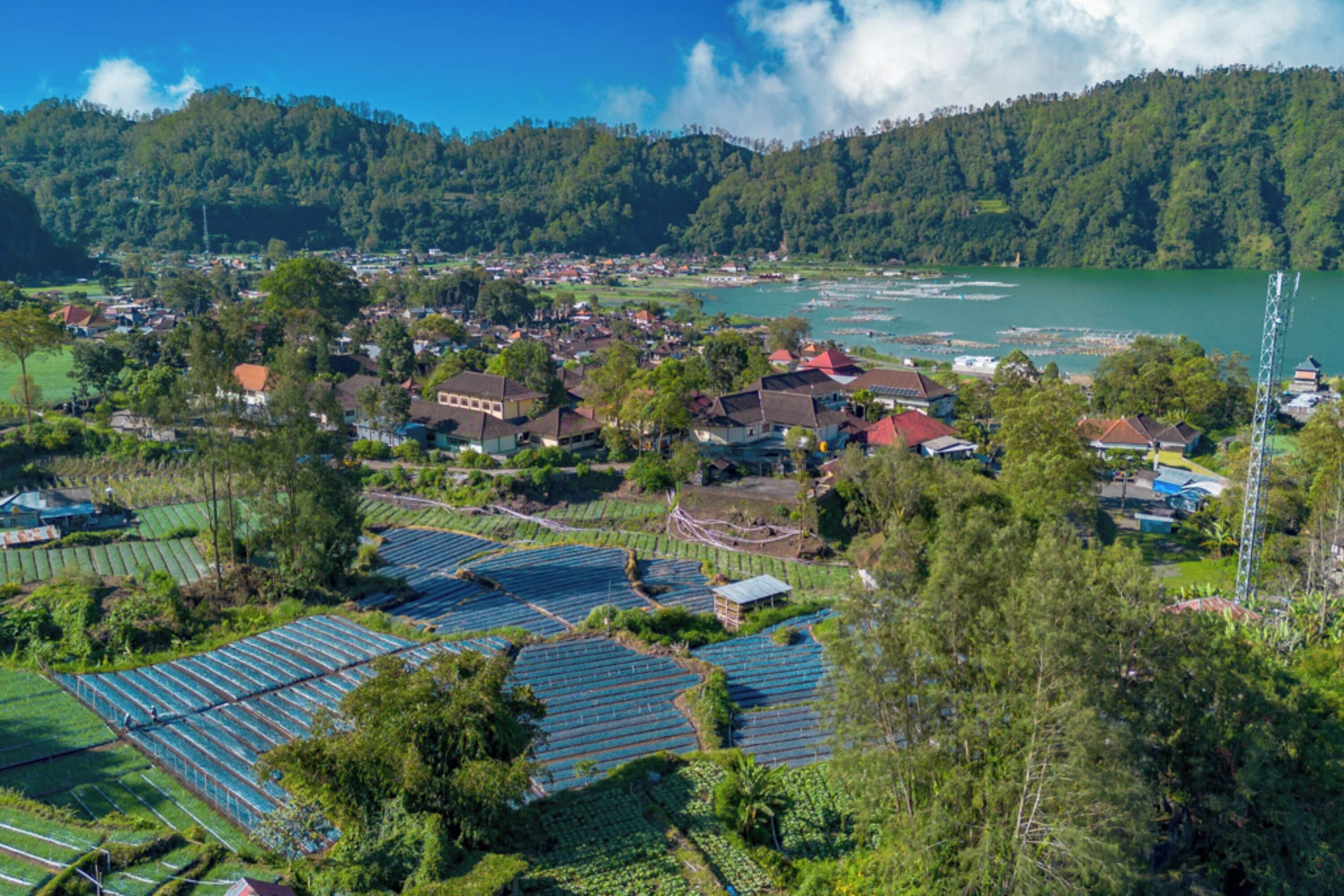 Un village rural avec des maisons, des champs et une rivière.