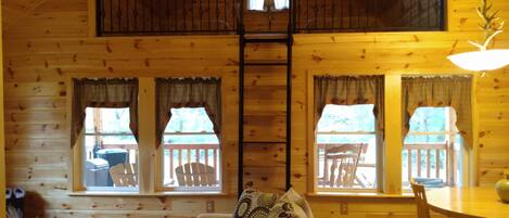 Smart TV, fireplace, DVD player, books