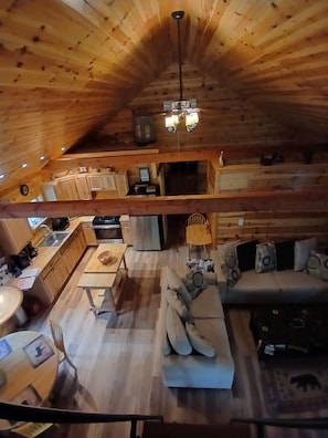 Smart TV, fireplace, DVD player, books
